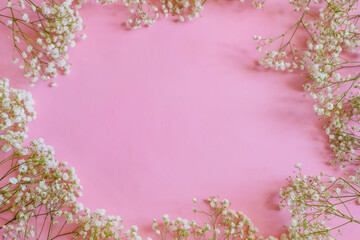 gypsophila is white on a pink background. Space for text