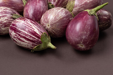 striped eggplant on a dark background. Home harvest and organic products concept