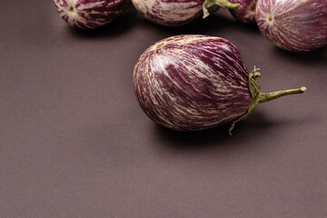 eggplant of unusual shape on a dark background.Organic products concept with striped eggplant