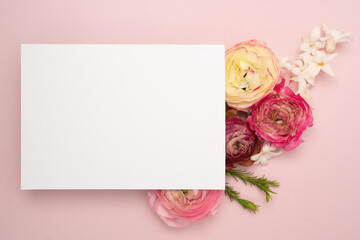 Obraz na płótnie Canvas Blank card with fresh flowers on pink background