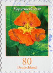 GERMANY - CIRCA 2019  : a postage stamp from Germany, showing a European flower: Nasturtiums