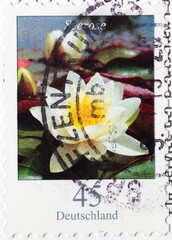 GERMANY - CIRCA 2017 : a postage stamp from Germany, showing a European flower: water lily