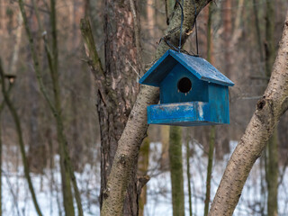 Feeder For Birds In The Forest