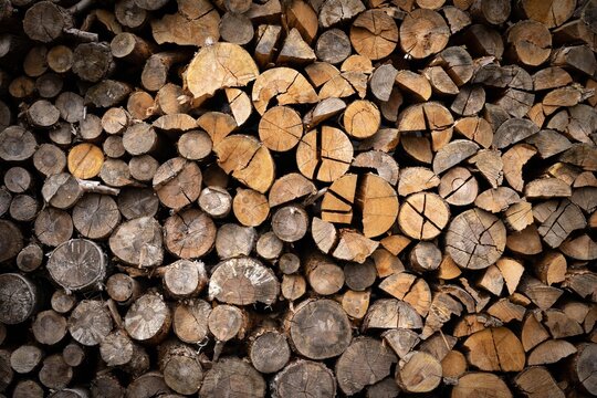 A nice frontal shot of tree trunks stacked on top of each other in a pile.