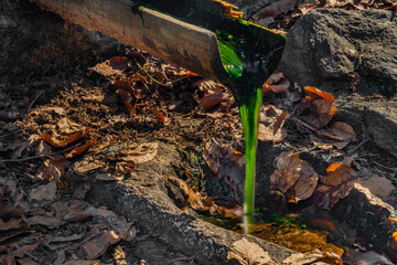 Small green spring with wooden pipe near Pancir hill in Sumava national park