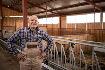 Portrait of senior farmer standing in farmhouse. In background domestic animals eating. Organic food and meat production.