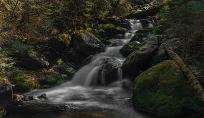 Fototapeta premium Small creek near Cerny creek in Sumava national park