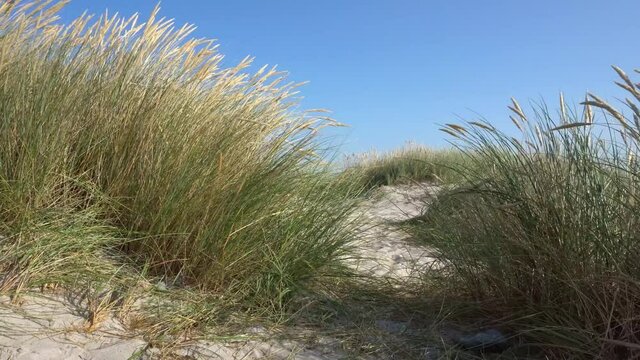 Ostsee - Weg durch die Dünen zum Strand 