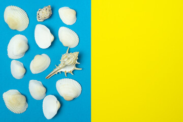 Abstract pattern of seashells on yellow and blue background with space for text.