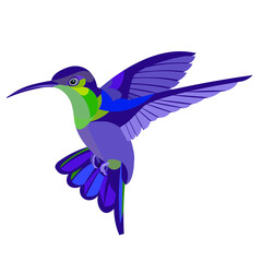 Kleurrijke tropische vogelkolibrie fladdert en klappert met zijn vleugels