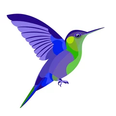 Crédence de cuisine en verre imprimé Colibri Vecteur isolé figure colorée colibri oiseau tropical battant des ailes