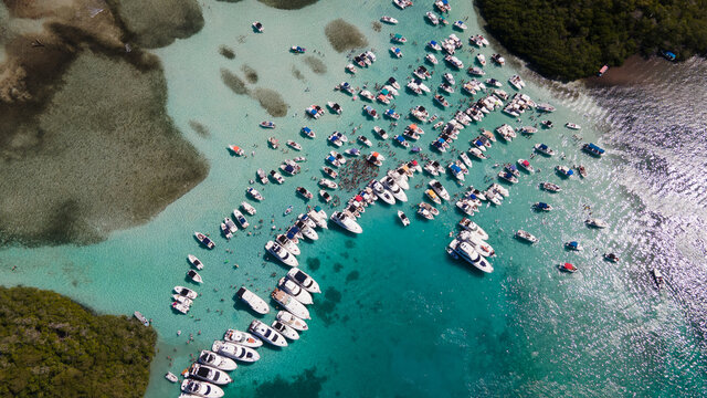 morrocoy venezuela