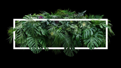 Tropical leaves foliage jungle plant bush floral arrangement nature backdrop with white frame on...