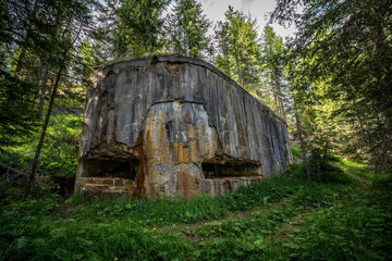 Abandoned, destoyed concrete bunker with embrasure in summer forest.