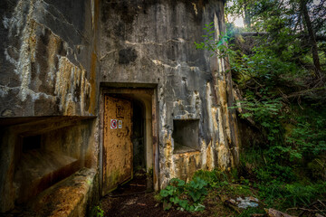 Abandoned, destoyed concrete bunker with embrasure in summer forest.Entrance to the bunker.