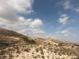 Fototapeta na wymiar paisajes.pinos.desierto.azul.nubes.montaña.rocas