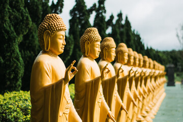 buddha statue yellow chinese temple