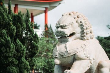 lion chinese statue  temple