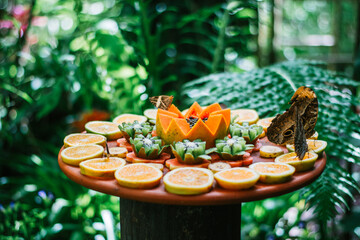 fruit table with butterflies 