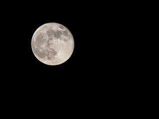 Obraz premium Full Moon