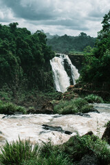 Iguazu Falls waterfall forest tropical 