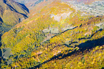 Mountains, autumn forest view from a drone