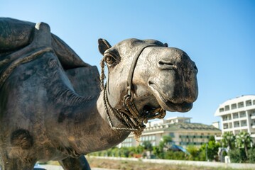 Statue of a camel on the street  Side, Antalya, Turkey