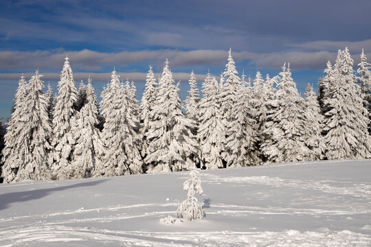 Winterlandschaft in &Ouml;sterreich beim Teufelstein