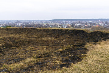 Burned dry grass due arid climate, change hot weather or environmental pollution. fire on wheat...