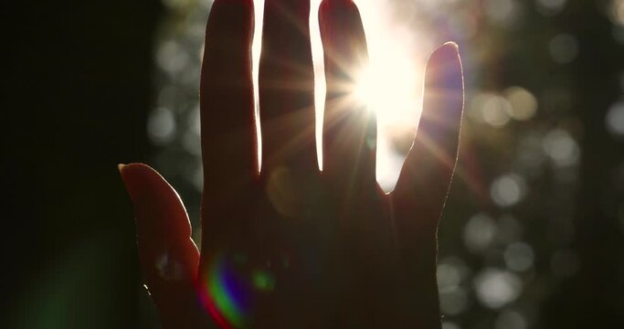 Female hand touching the sun, sunlight passing through fingers, pine forest mountain at sunset, closeup shining sun and the branches of the trees, season travel nature idyllic