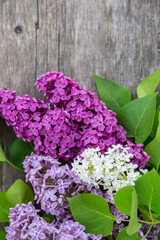 Branches of blooming lilacs, bouquet on wooden background