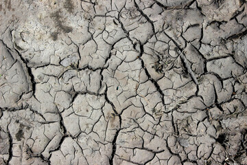  Cracked black earth in hot weather in summer