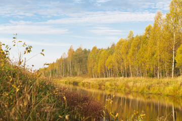 Autumn nature in the countryside. Yellowed forest and river