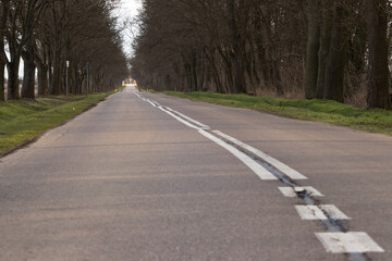 A wide view of the road and the trees next to it