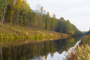 Autumn nature in the countryside. Yellowed forest and river