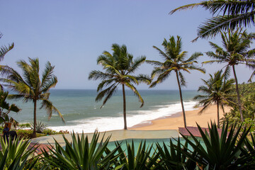 Fototapeta na wymiar Indien - Kerala - Kovalam: Palmenstrand
