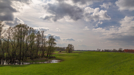 Obraz premium Floodplain behind the dike by the river Nederrijn in the Netherlands.