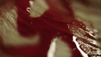 Blood on human skin macro shot   shallow depth of field