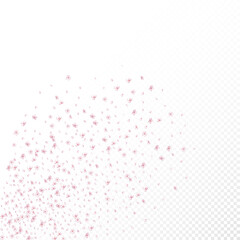 Sakura Cherry Blossom Confetti. Blooming Cosmetics Ad Beautiful