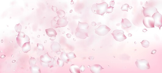 Cherry Sakura Petals Confetti. Windy Leaves Confetti Banner.