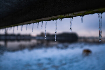 detail shot from icicles in front of beautiful river called werdersee with snowy dike in the background