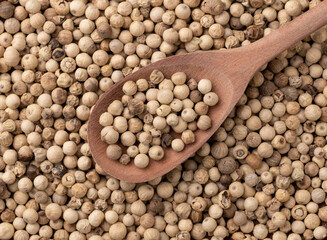 Top view, closeup of white pepper grains on a wooden spoon. Food backdrop