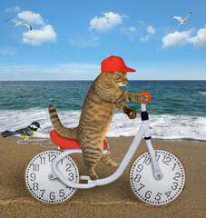 A beige cat in a red cap rides a funny bike along the seashore.
