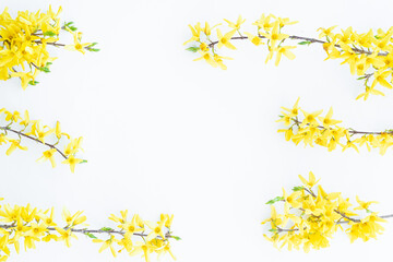 Floral composition. Pattern made of yellow forsythia flowers on a white background. Concept of spring, easter, summer. Flat lay, top view, copy space