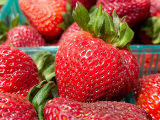 basket of large, red strawberries ready to be eaten