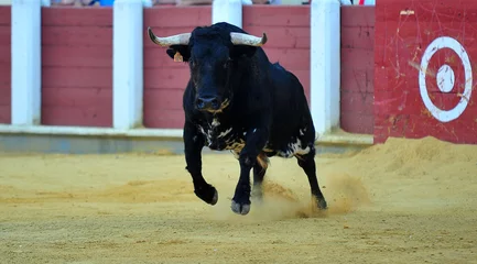Wandcirkels aluminium spanish bull in the traditional festival of bullfight © alberto