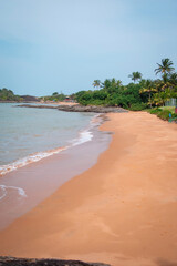 Costa de playa del caribe con casas lujosas y palmeras