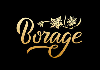 Fototapeta na wymiar Vector illustration of borage lettering for packages, product design, banners, stickers, spice shop price list and decoration. Handwritten isolated word with floral graphic elements for web or print 