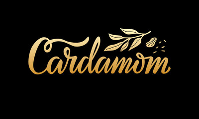 Vector illustration of cardamom lettering for packages, product design, banners, stickers, shopping and decoration. Handwritten word with seeds and leaves
