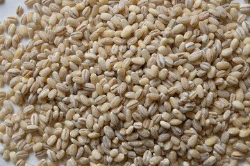 pearl barley
